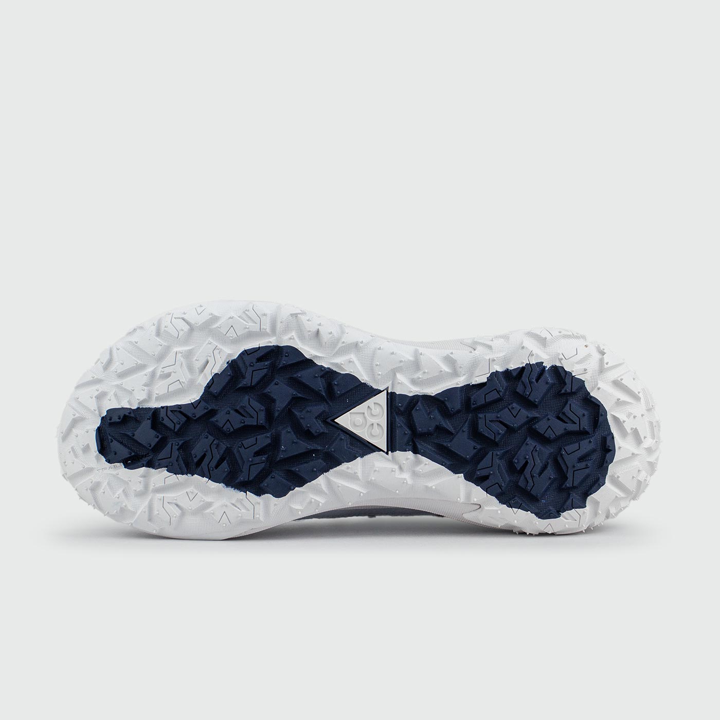 Кроссовки Nike ACG Mountain Fly 2 Low Gtx White Blue