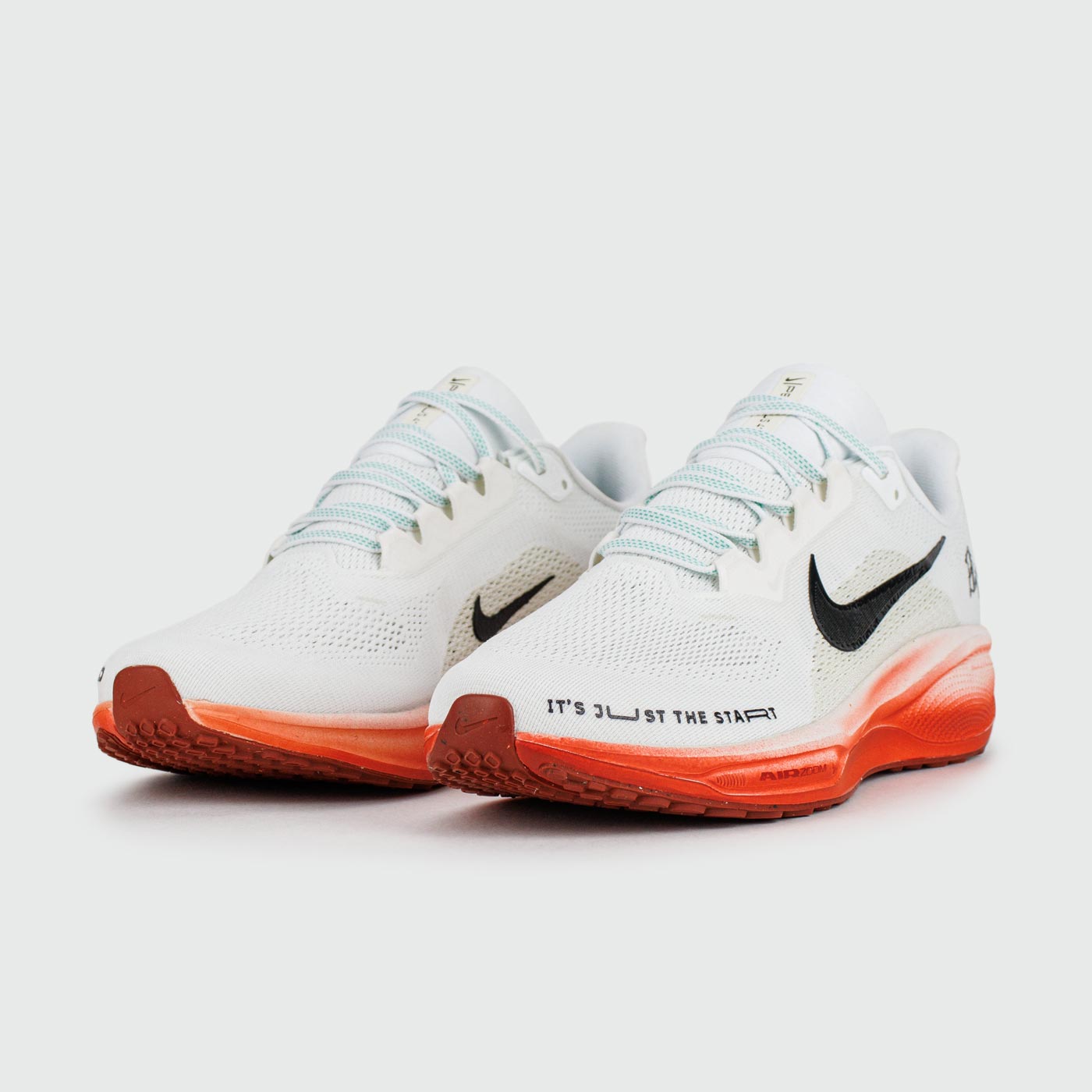 Кроссовки Nike Pegasus 41 Eliud Kipchoge