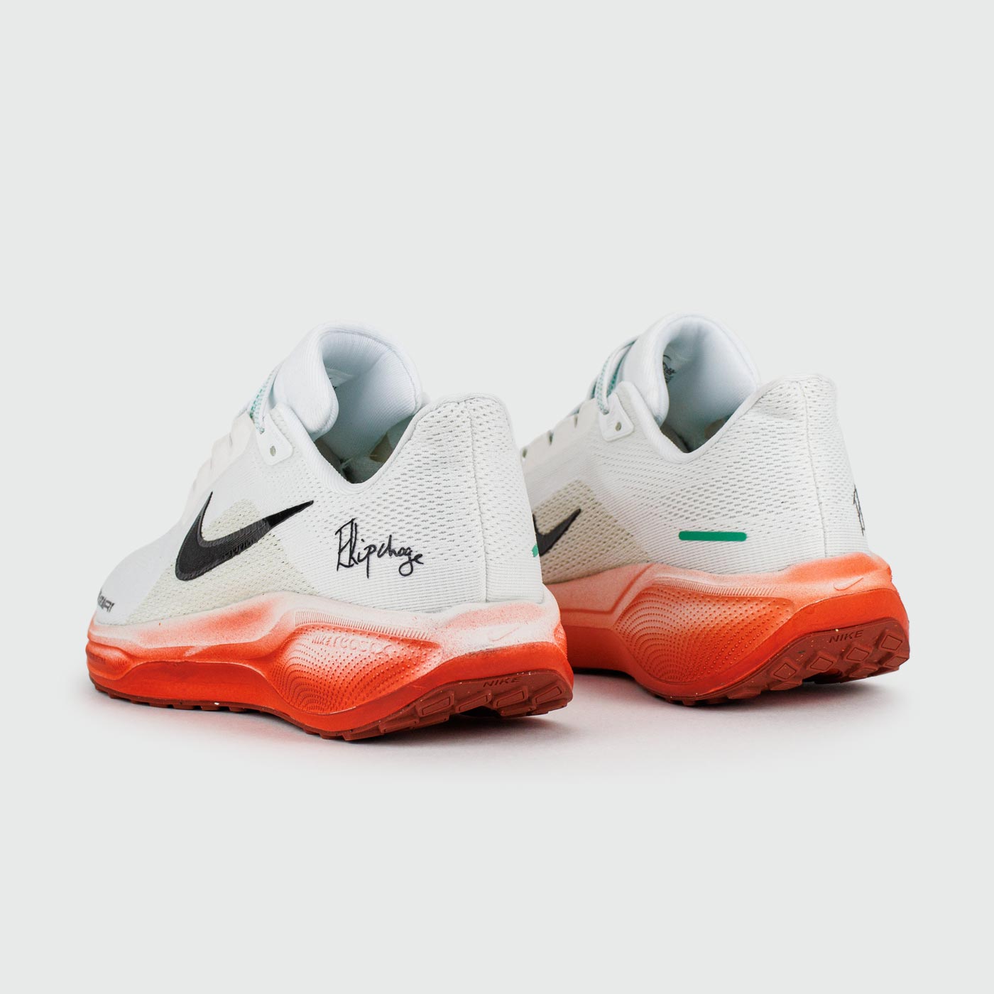 Кроссовки Nike Pegasus 41 Eliud Kipchoge