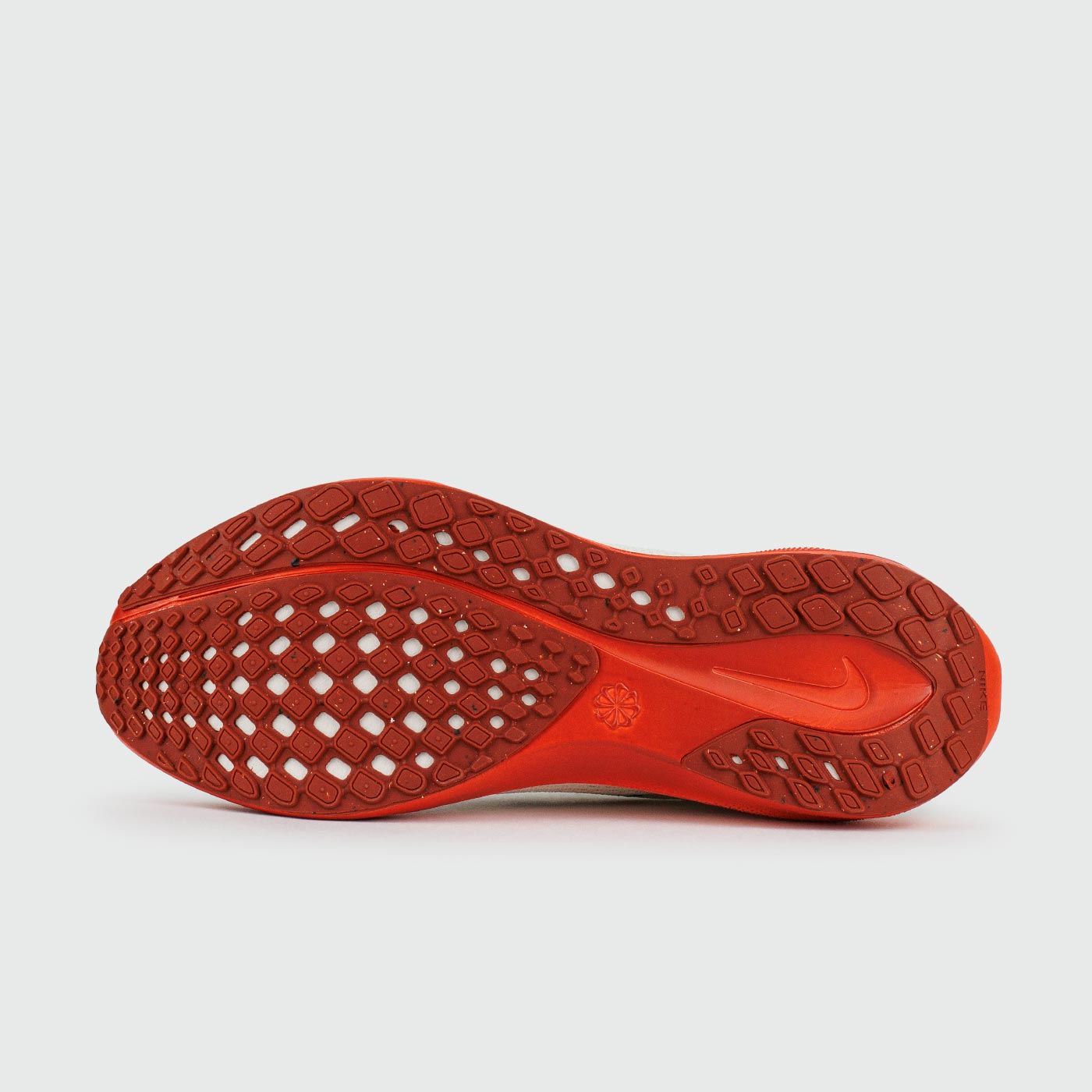 Кроссовки Nike Pegasus 41 Eliud Kipchoge