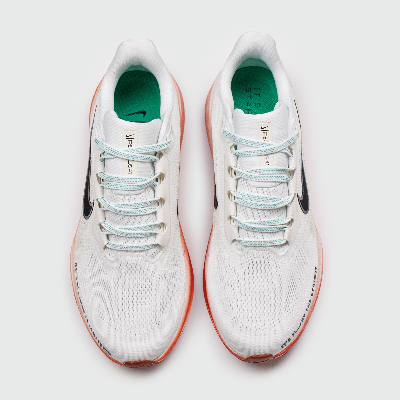 Кроссовки Nike Pegasus 41 Eliud Kipchoge