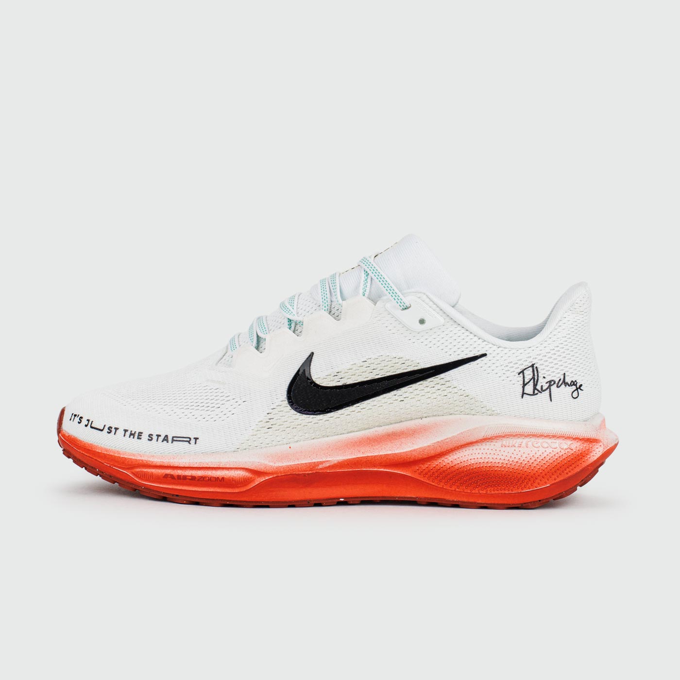Кроссовки Nike Pegasus 41 Eliud Kipchoge